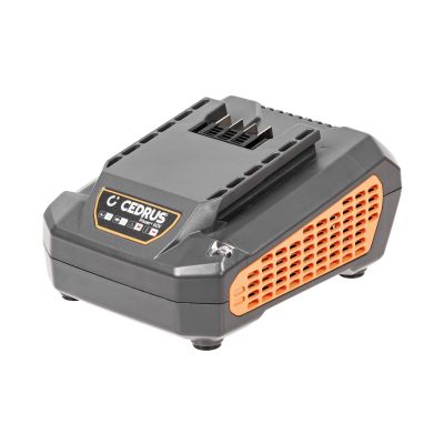 Ładowarka baterii Cedrus 2,5A 60V CHB2.5